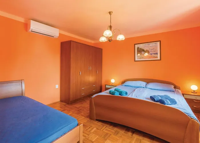 Pet Friendly In